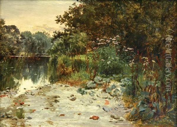 River Wynion, Dolgelly Oil Painting - William E. Harris