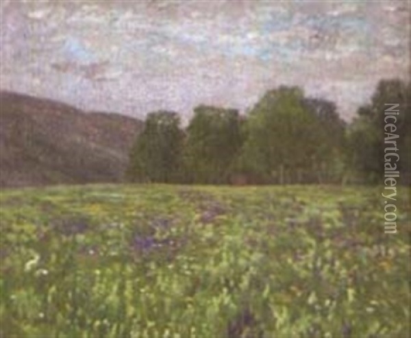 Landschaft Mit Bluhender Wiese Oil Painting - Georg Schmitgen