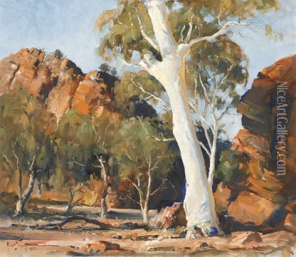 Flinders Range Ghost Gum Oil Painting - Robert Johnson