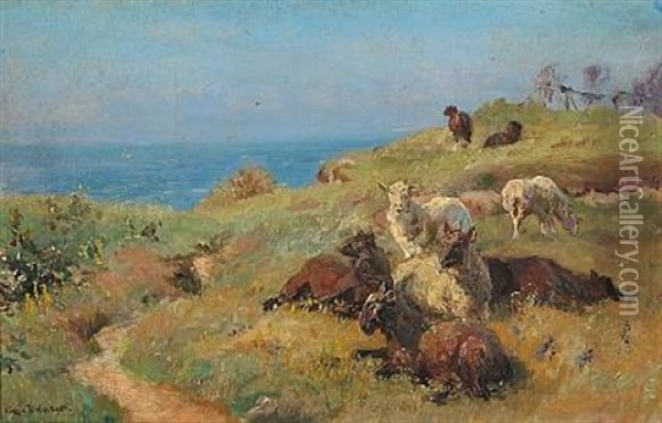 Sheeps In The Field With The Sea In The Background Oil Painting - Viggo Pedersen