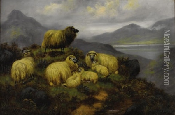 Sheep On A Hillside Oil Painting - John Shirley Fox