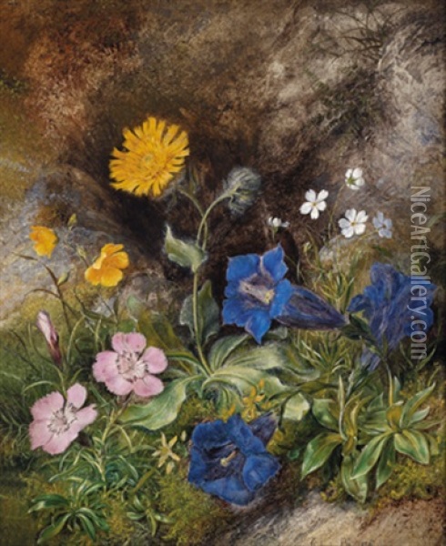 Alpenblumenstilleben Oil Painting - Theodor Petter