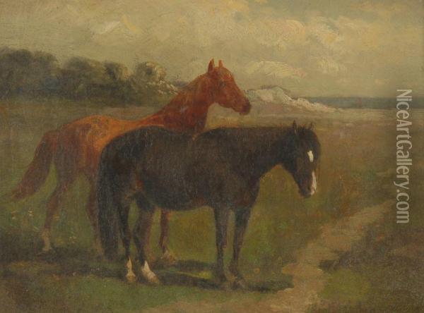 Two Horses By The Seashore Oil Painting - Scott Leighton