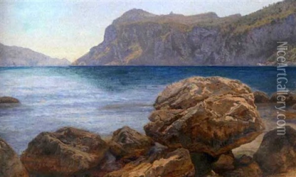 View Of Capri Oil Painting - Janus la Cour
