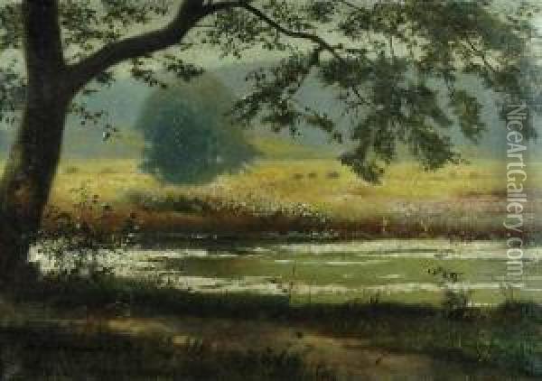 Pejzaz Letni Oil Painting - Bernhard Sturmhoefel