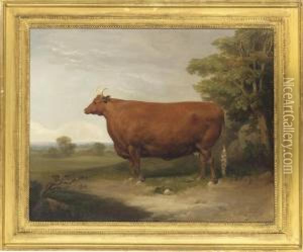 A Prize Cow In An Extensive Landscape; And A Prize Bull In Afarmyard Oil Painting - Thomas Mogford Of Exeter