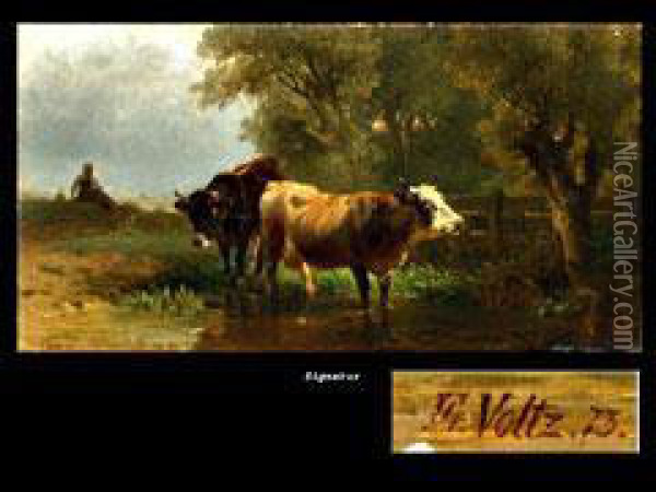 Zwei Kuhe An Der Tranke Oil Painting - Friedrich Johann Voltz