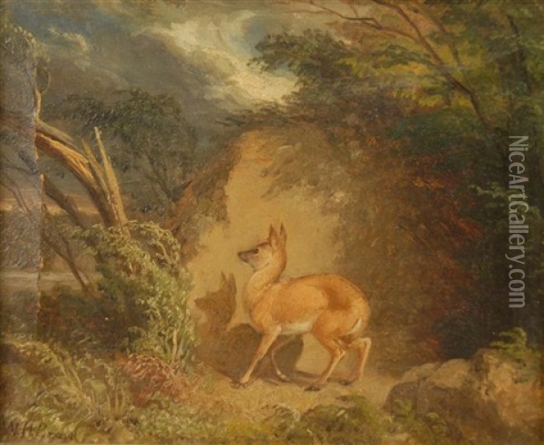 Fawn In Landscape Oil Painting - William Holbrook Beard