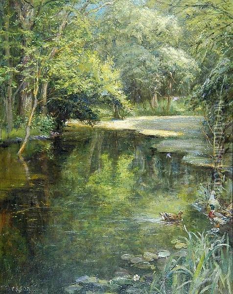 Woodland River With Ducks And Waterlilies Oil Painting - Frank Dickson