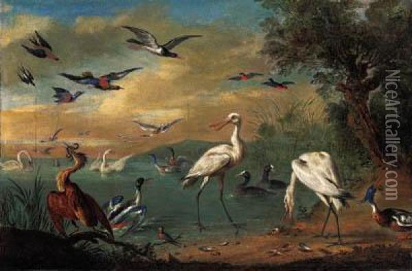 Two Spoonbills, A Heron, Swans, 
Moorhens, Bullfinches, Kingfishers,a Swallow And Other Birds In A 
Coastal Landscape; And Parrots, Aheron, Kingfishers And Other Birds In 
An Extensive Landscape Oil Painting - Jan van Kessel