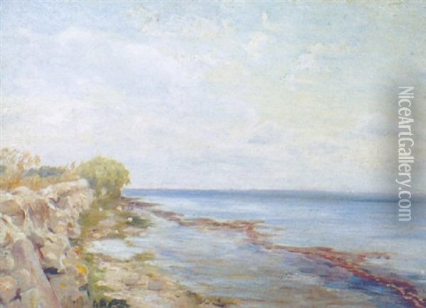 Stranden Pa Ostsiden Bag Holmemandens Vaenge Oil Painting - Theodor Philipsen