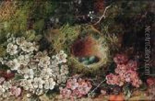 Flowers And A Bird's Nest On A Mossy Bank Oil Painting - George Clare