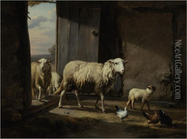 Sheep Returning From Pasture Oil Painting - Eugene Joseph Verboeckhoven