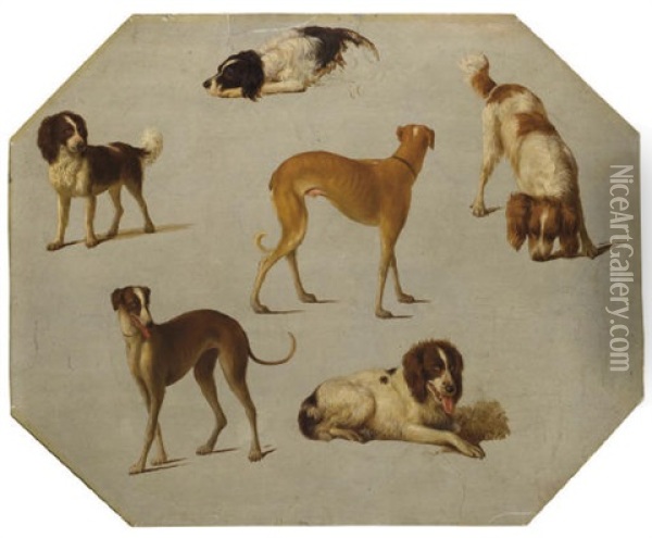 Quatre Epagneuls Et Deux Levriers Oil Painting - Hendrik Stokvisch