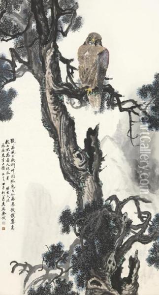 Goshawk On Ancient Pine Oil Painting - Jin Cheng