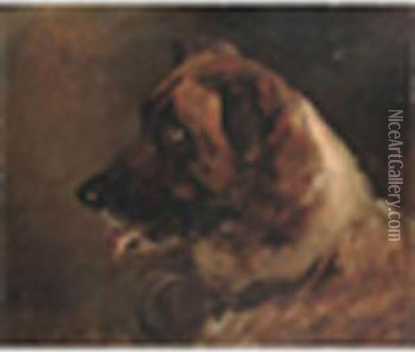 Study Of Ast.bernard Signed Oil Painting - Heywood Hardy
