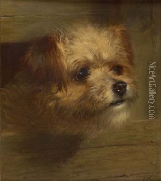 Study Of A Terrier Oil Painting - Thomas William Earl
