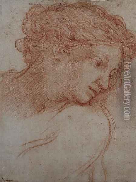 Study of a Head of a Girl Oil Painting - Pietro Da Cortona (Barrettini)