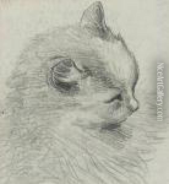 Study Of A Cat Oil Painting - Louis William Wain