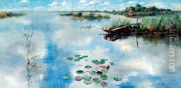Plasgezicht Met Wolkenreflectie En Waterlelies Oil Painting - Willem Roelofs