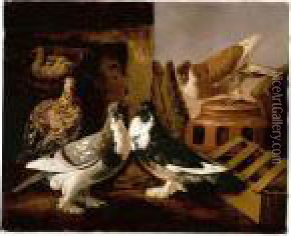 Still Life Of Two Courting 
Doves, A Partridge And Her Chicks, And A Further Dove Beyond Perched On A
 Jar Oil Painting - Jacomo (or Victor, Jacobus) Victors
