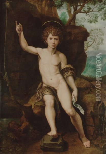 The Young St. John The Baptist Oil Painting - Michiel Coxie the Elder