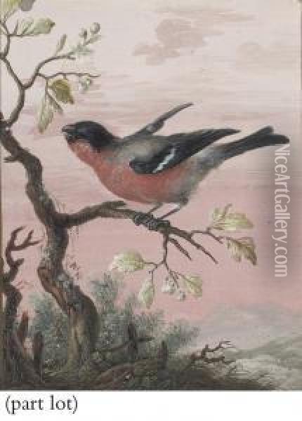 Birds, Each Perched On A Branch Oil Painting - Christophe-Ludwig Agricola