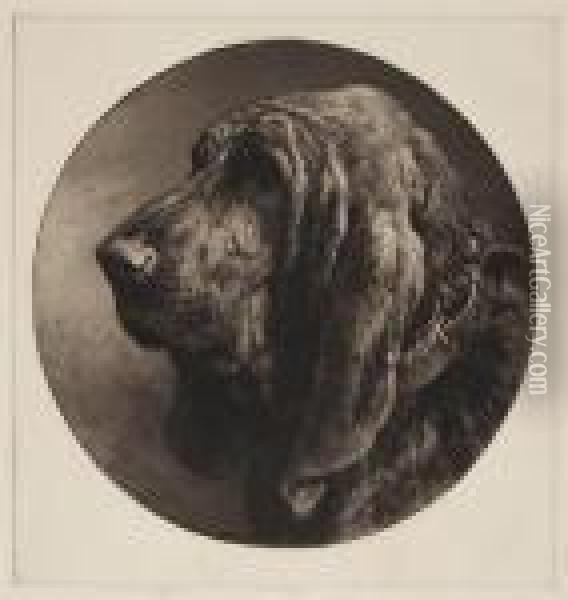 Head Of A Bloodhound Oil Painting - Herbert Thomas Dicksee