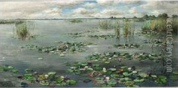 Plasgezicht Met Waterlelies Oil Painting - Willem Roelofs
