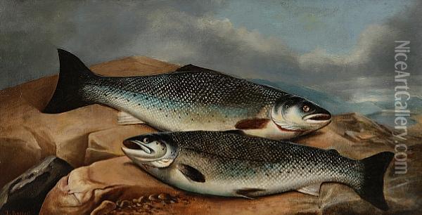 A Brace Of Salmon On A Rock Oil Painting - John Russell