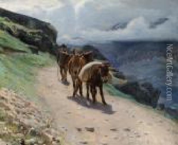 A Farmer Driving His Donkeys Along A Mountain Road Oil Painting - Robert Mols