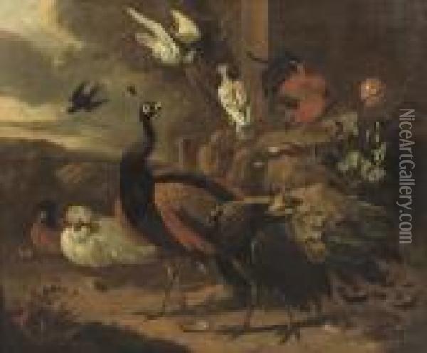 Peacocks, A Rooster, Pigeons And Other Birds Near A Ruinous Wall In A Rocky Landscape Oil Painting - Melchior de Hondecoeter