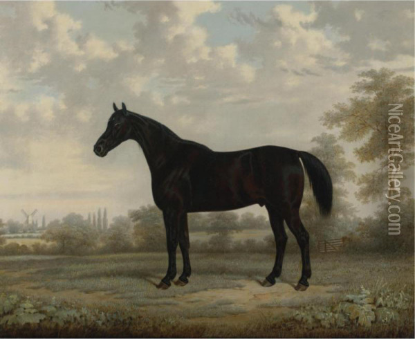 A Bay Horse In A Landscape Oil Painting - E. Brown