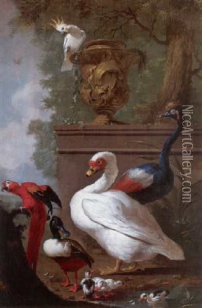 A Muscovy Duck, A Scarlet Macaw, A Sulphur-crested Cockatoo, A Crowned Crane And A Shoveller With Chicks Oil Painting - Jacobus Vonck