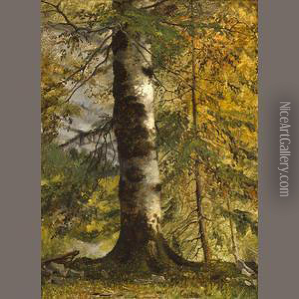 A Study Of A Tree Oil Painting - Achille-Etna Michallon