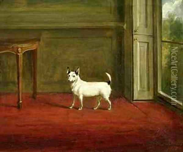 Portrait of a Jack Russell Terrier in Regency Interior Oil Painting - William Henry Davis