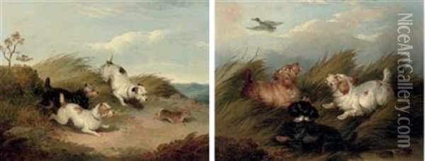 Flushing A Mallard (+ Chasing A Rabbit; Pair) Oil Painting - Paul Jones
