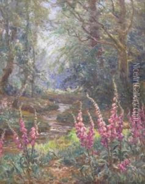 Foxgloves In The New Forest Oil Painting - Frederik Golden Short