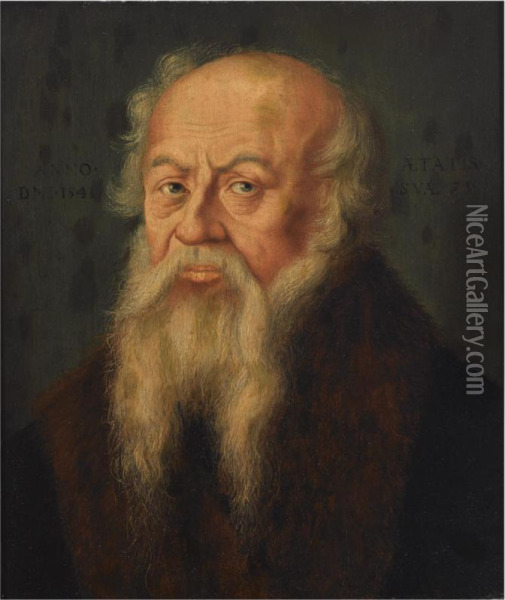 A Portrait Of A Bearded Old Man Oil Painting - Bartholomaeus I Bruyn