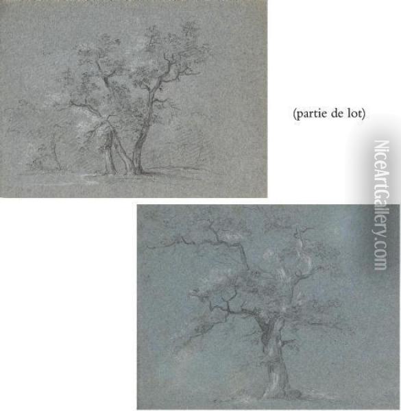 Suite De Quatre Etudes D'arbres Oil Painting - Jean-Baptiste Huet I