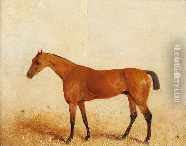 Moses, Winner Of The Derby 1822 Oil Painting - Richard Barrett Davis