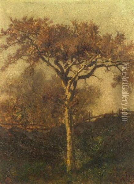 Oak Tree, Smith Farm, Manchester Oil Painting - Frederick Dickinson Williams