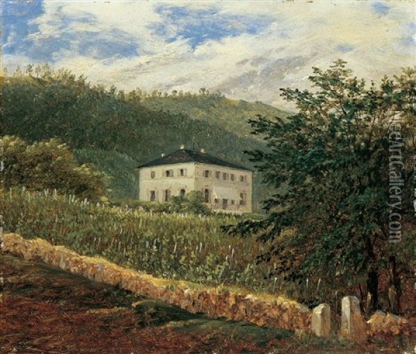 Die Konigliche Villa In Wachwitz Bei Dresden Oil Painting - Carl Gustav Carus
