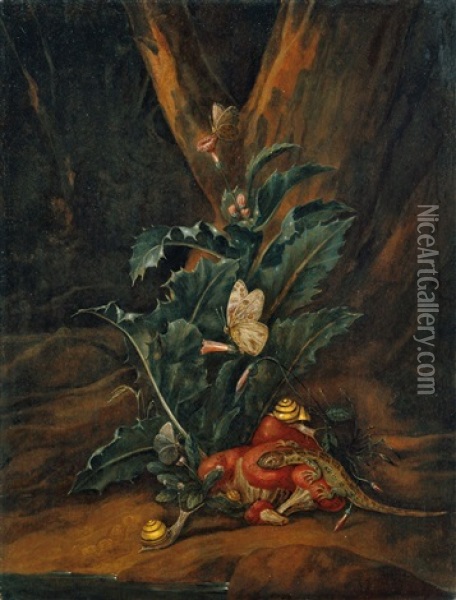 Sous-bois-stilleben. Unter Einem Baumstumpf Eine Distel, Pilze, Schnecken Und Eine Eidechse Oil Painting - Carl Wilhelm de Hamilton