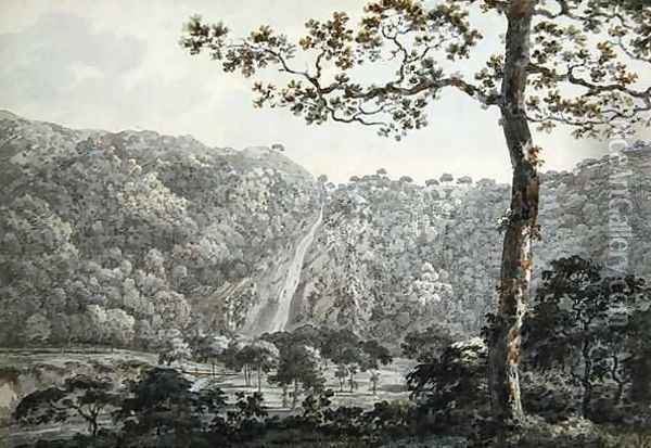 The Falls at Powerscourt, Co. Wicklow, Ireland Oil Painting - William Pars
