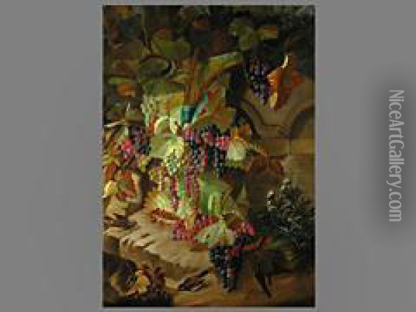 Weintrauben Und Vogel Auf Mauervorsprung Oil Painting - Jean-Baptiste Robie