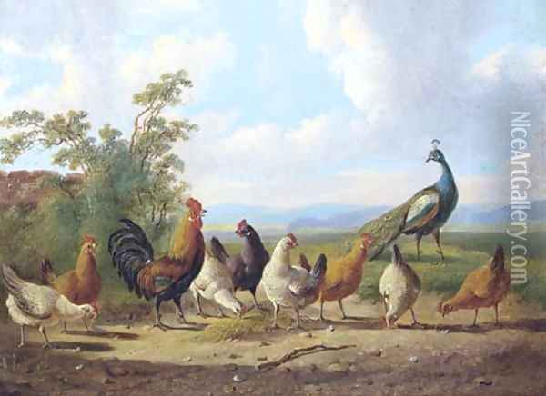 Cheerful chickens Oil Painting - Albertus Verhoesen