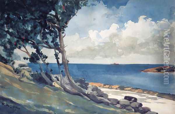North Road, Bermuda Oil Painting - Winslow Homer
