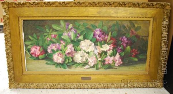 Rhododendrons Oil Painting - Adelaide Palmer