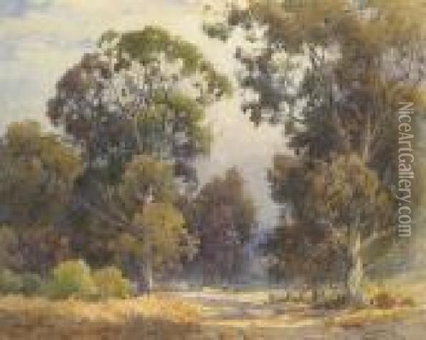 Sunlit Path Through The Trees Oil Painting - Percy Gray